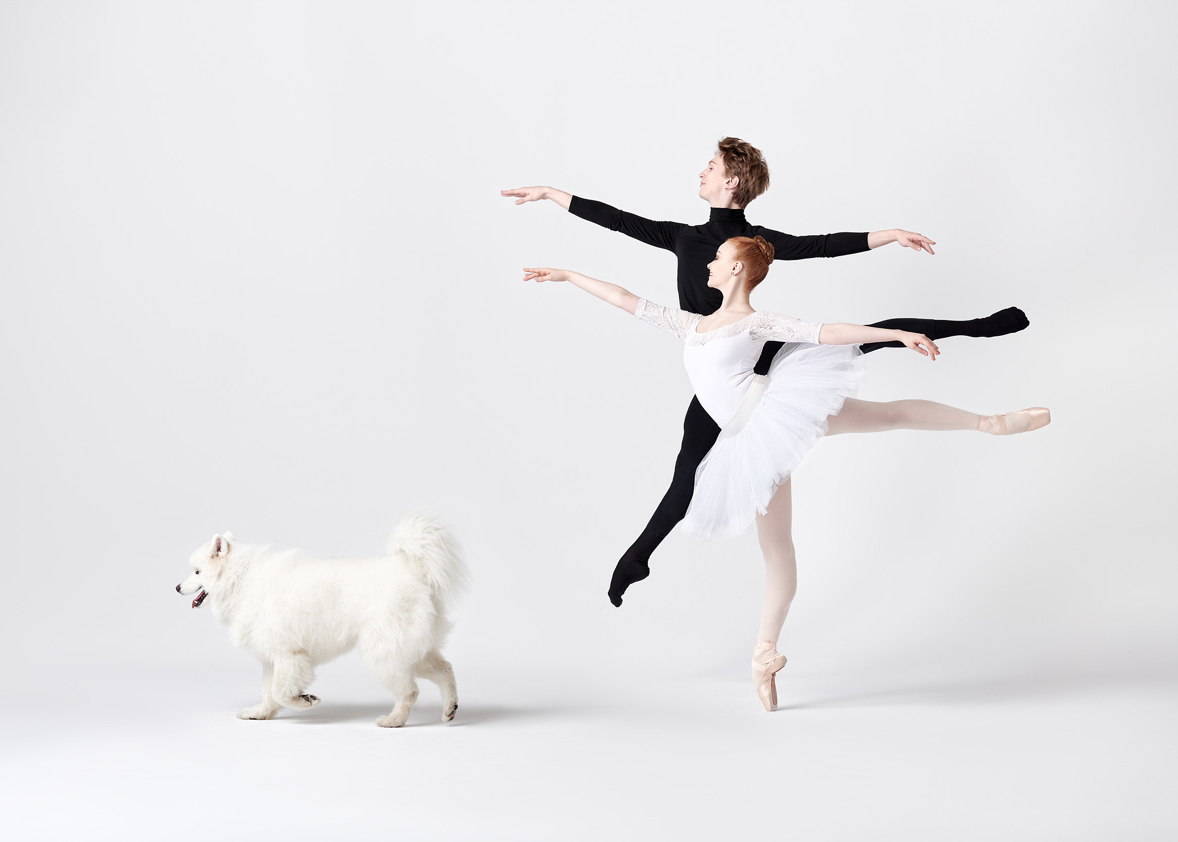 2019-05-06-Dancers--Dogs-NYC-Day-21830-copy
