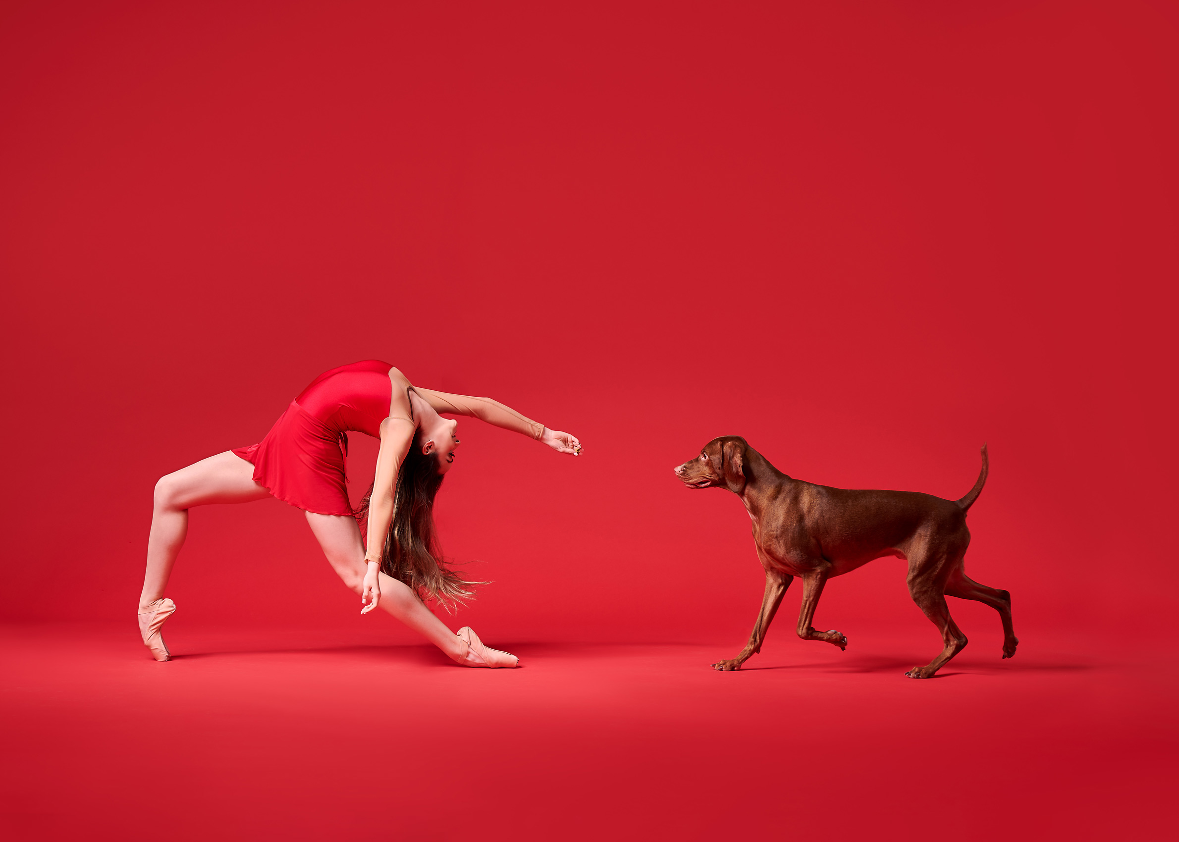 Dancers--Dogs-Phoenix5181
