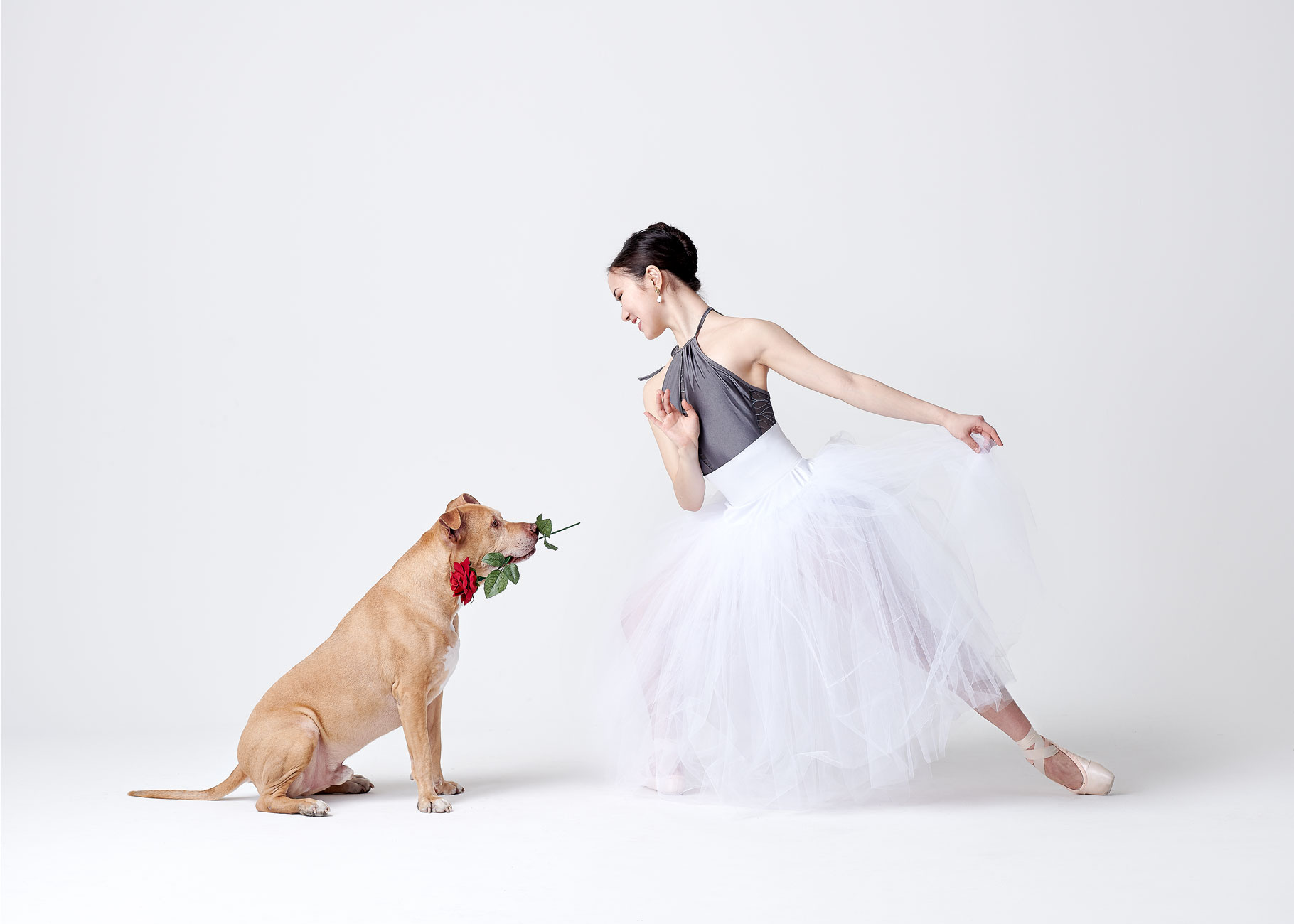 Dancers_and_Dogs_05