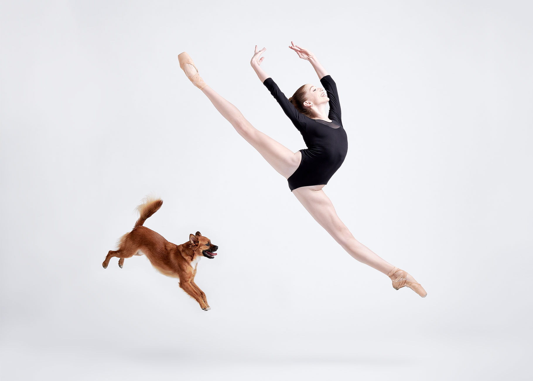 Dancers_and_Dogs_10