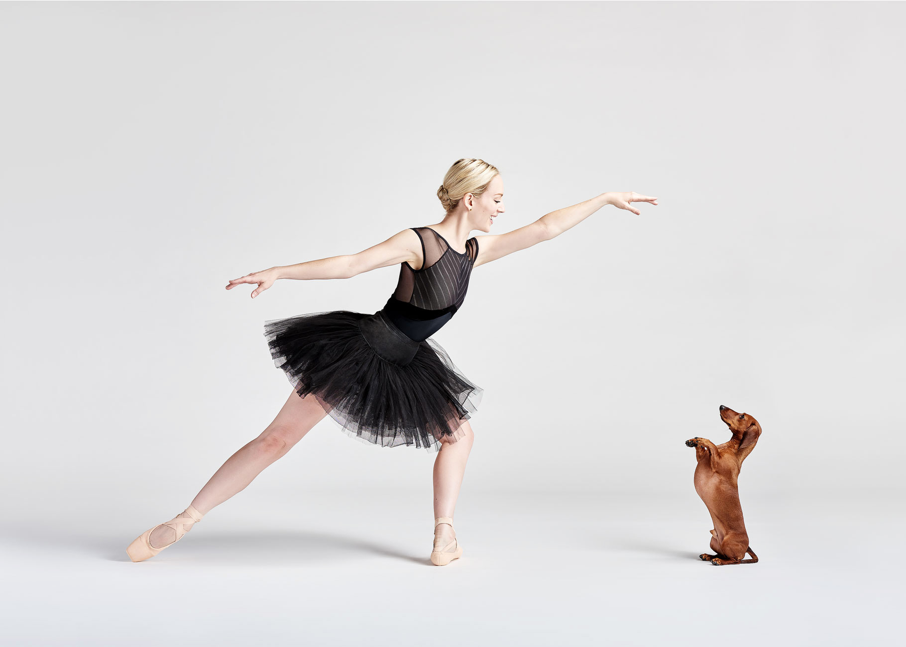 Dancers_and_Dogs_14